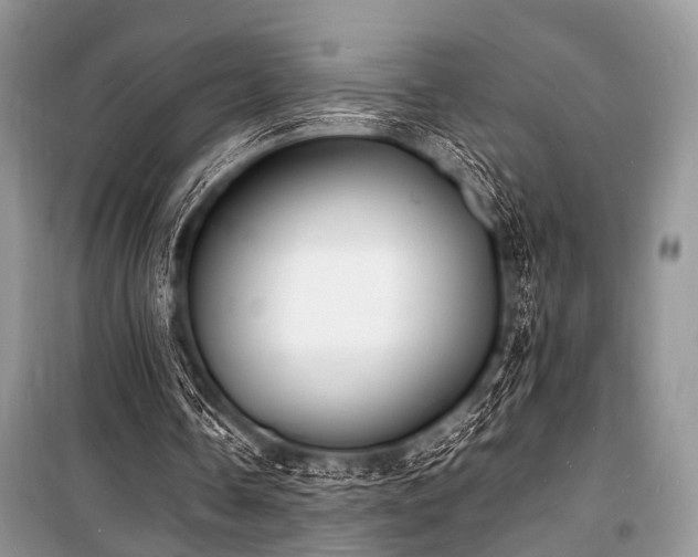 X0000100980338200806241548