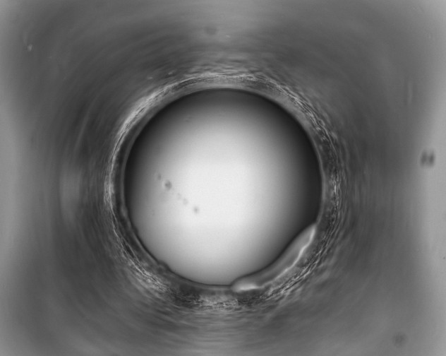 X0000100980340200806241548