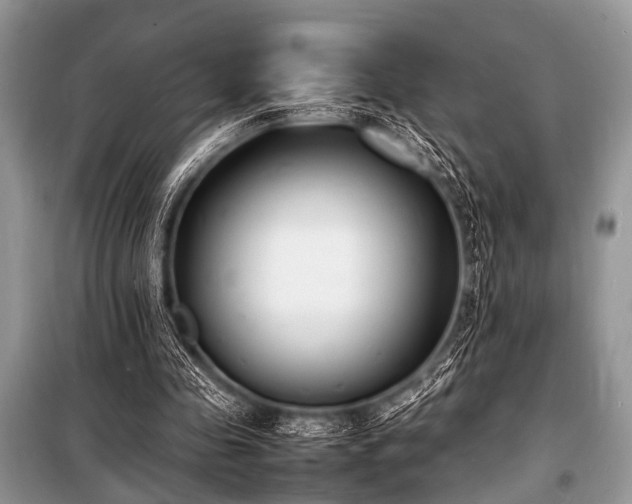 X0000100980341200806241548