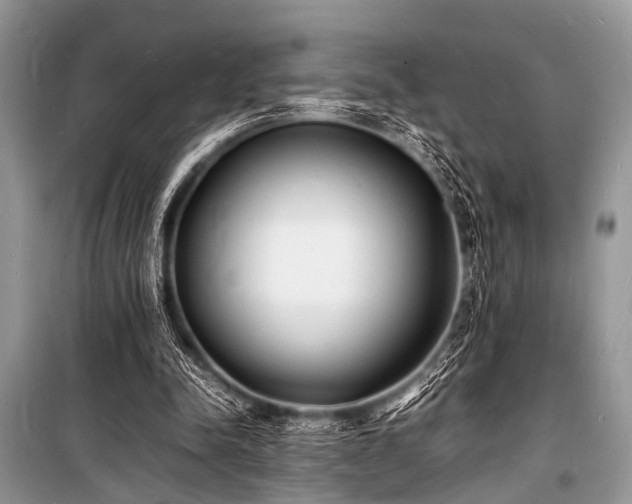 X0000100980342200806241548