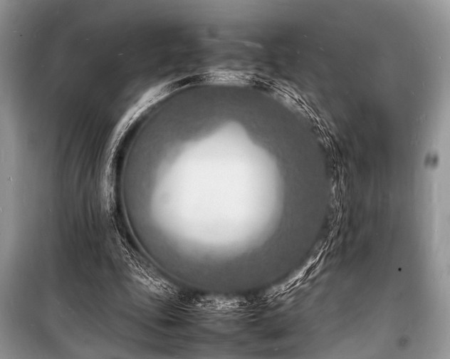 X0000100980343200806241548