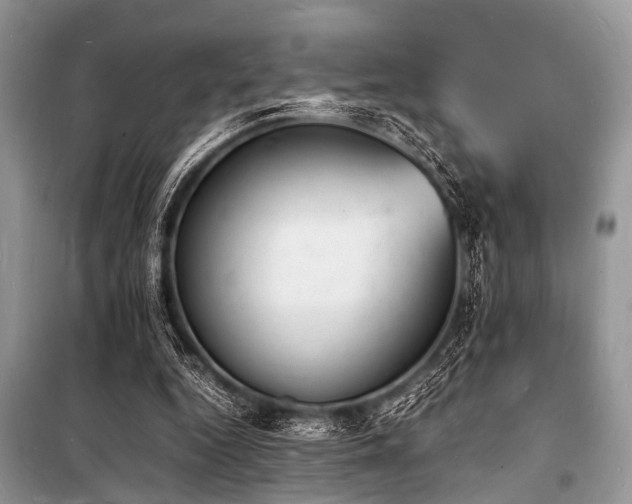 X0000100980344200806241548