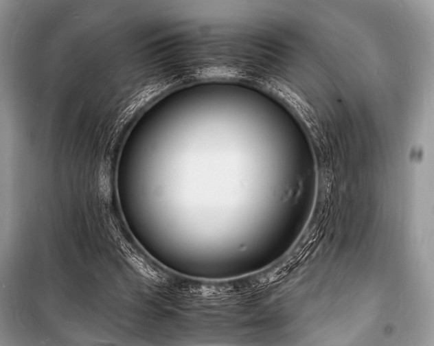 X0000100980345200806241548