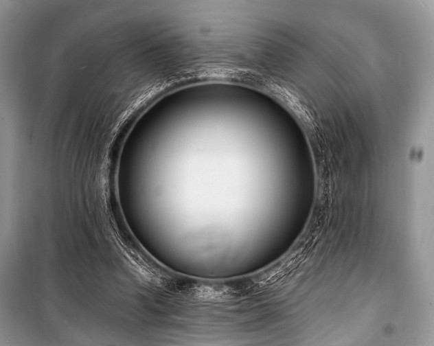 X0000100980346200806241548