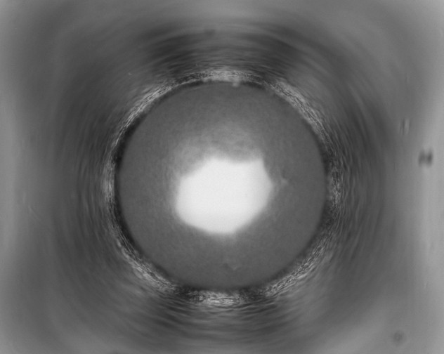 X0000100980347200806241549