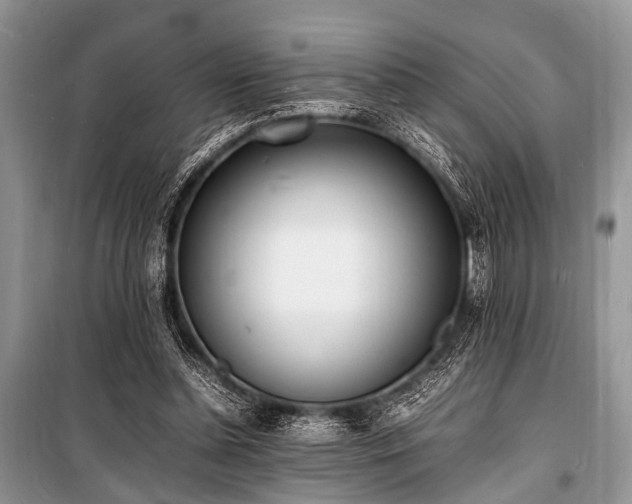 X0000100980348200806241549