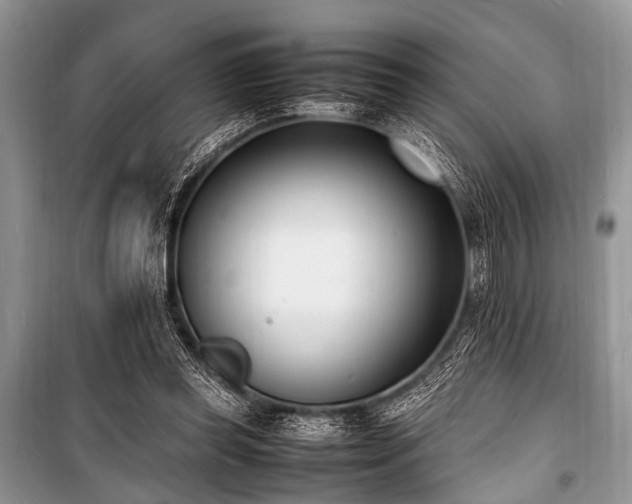 X0000100980349200806241549