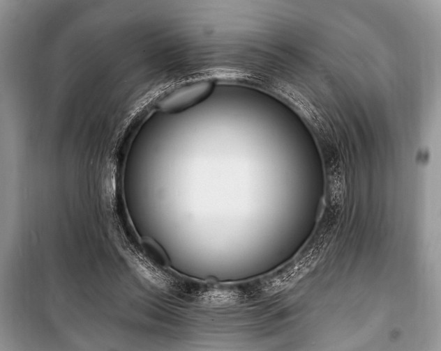 X0000100980350200806241549