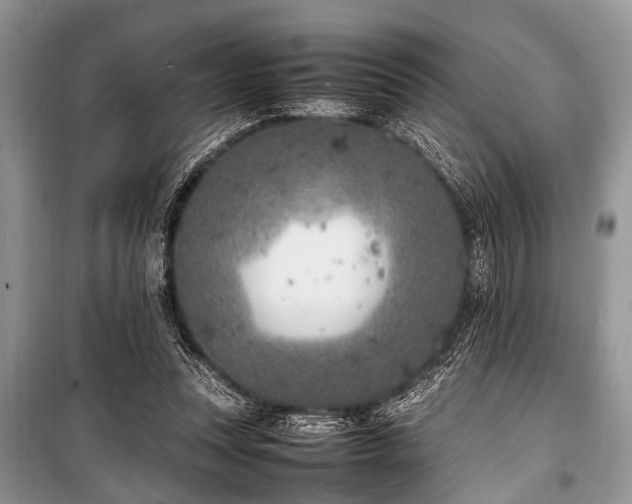 X0000100980351200806241549