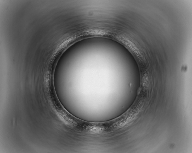 X0000100980352200806241549