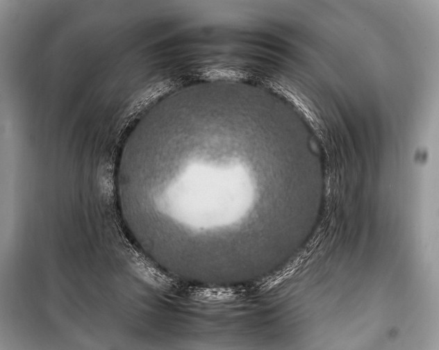 X0000100980353200806241549