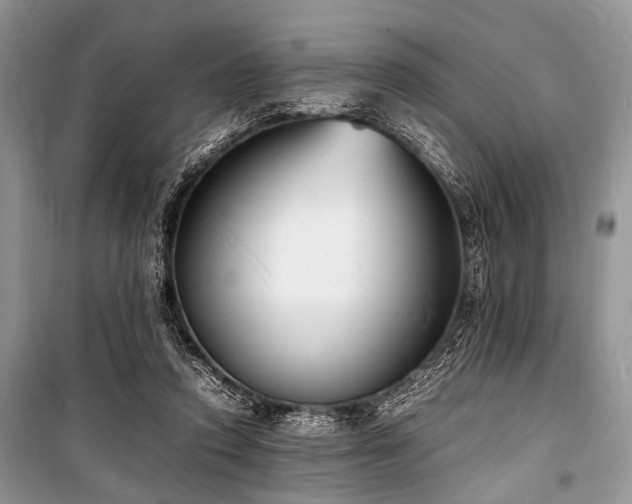 X0000100980354200806241549