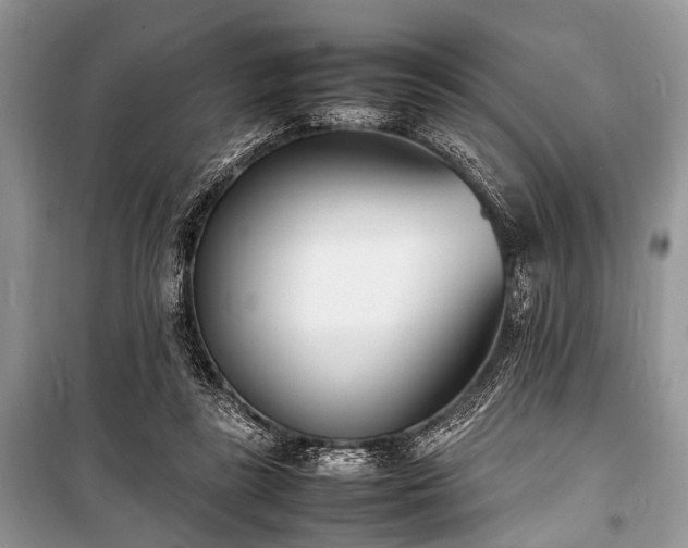 X0000100980355200806241549