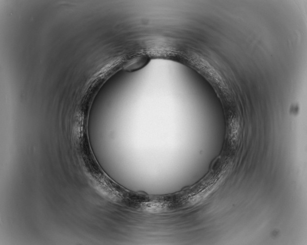 X0000100980356200806241549