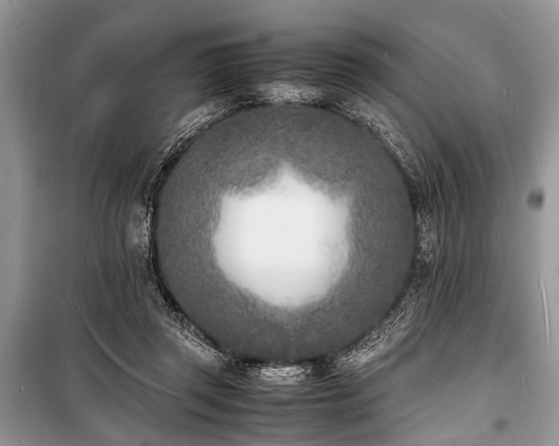 X0000100980357200806241549