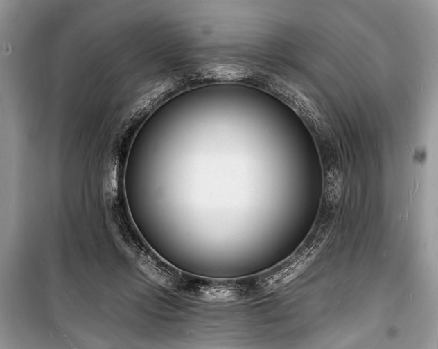 X0000100980358200806241549