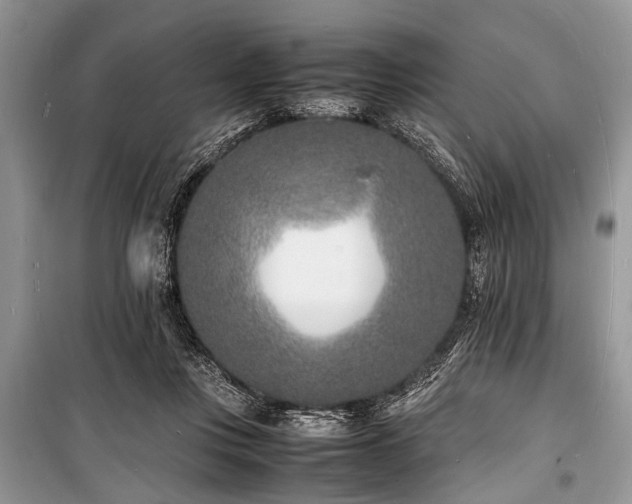 X0000100980359200806241549