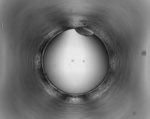 X0000100980360200806241549