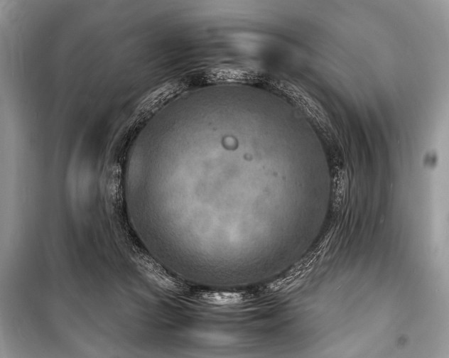 X0000100980361200806241549