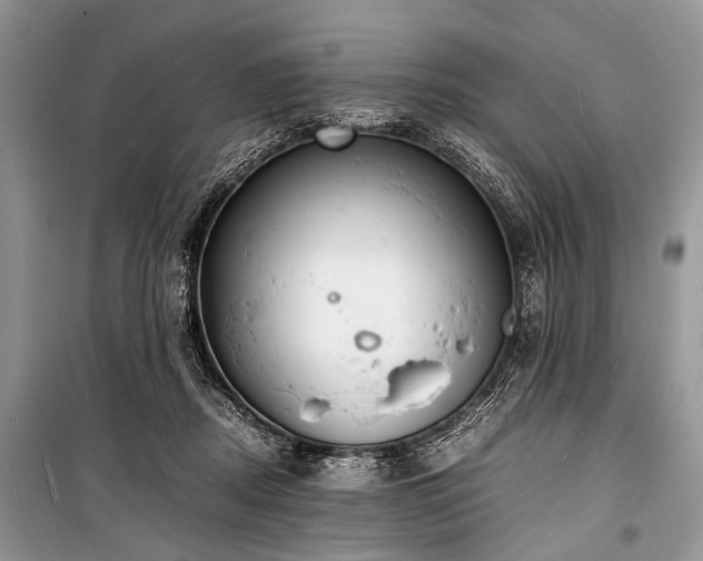 X0000100980362200806241549