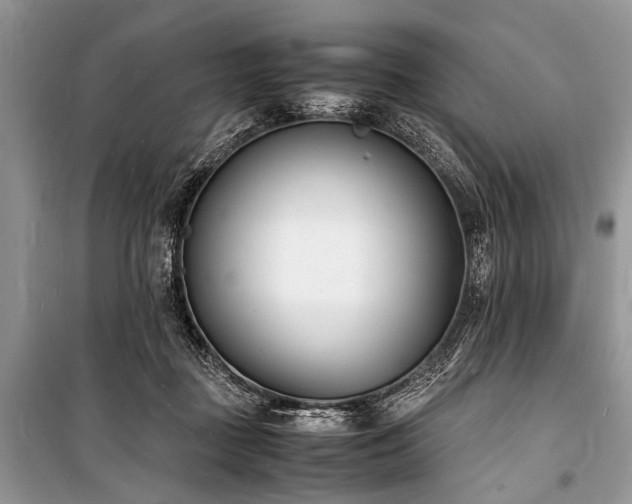 X0000100980363200806241549