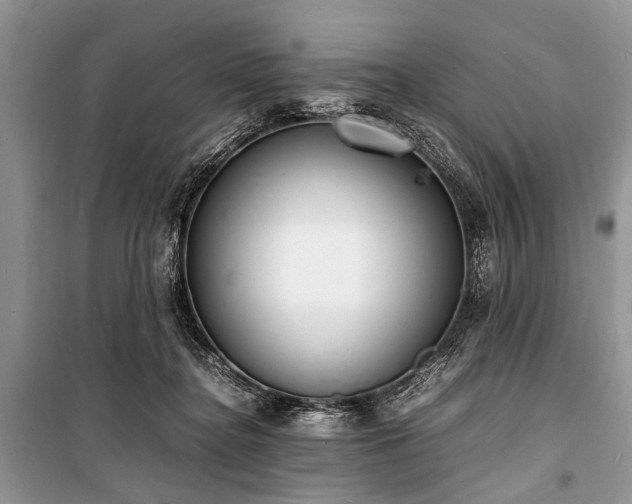 X0000100980364200806241549