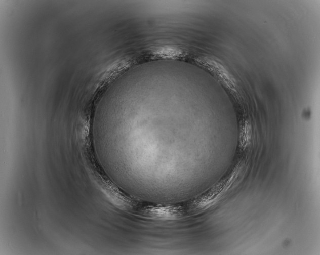 X0000100980365200806241549