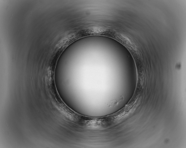 X0000100980366200806241549