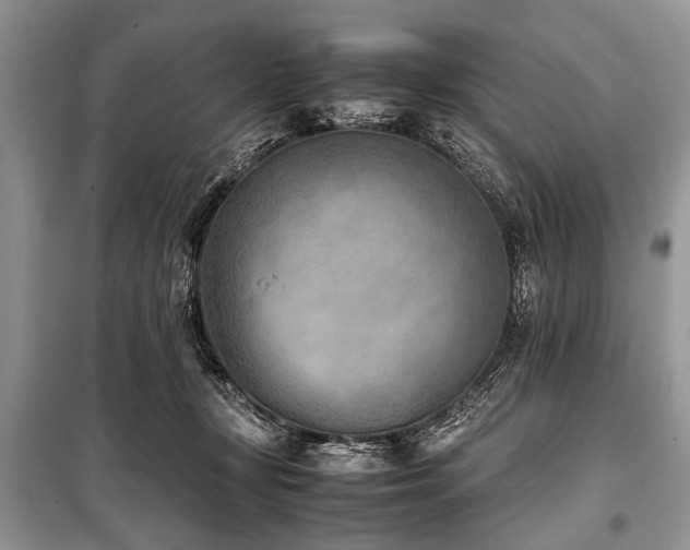 X0000100980367200806241549