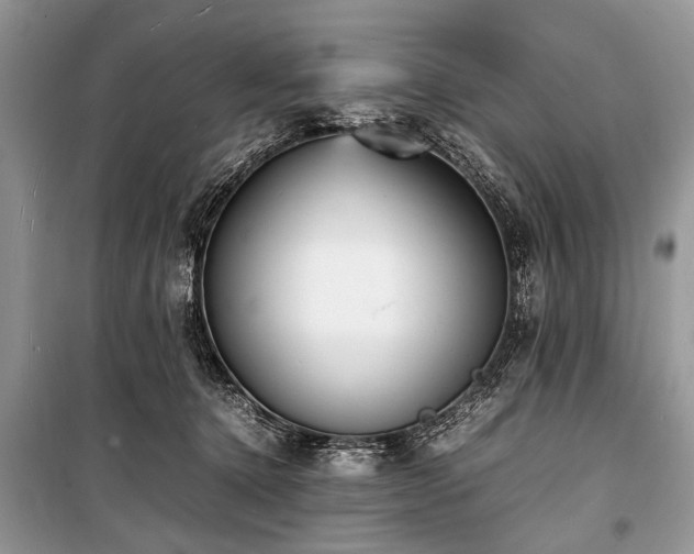 X0000100980368200806241549