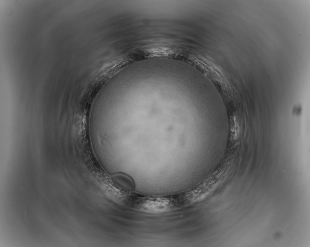 X0000100980369200806241549