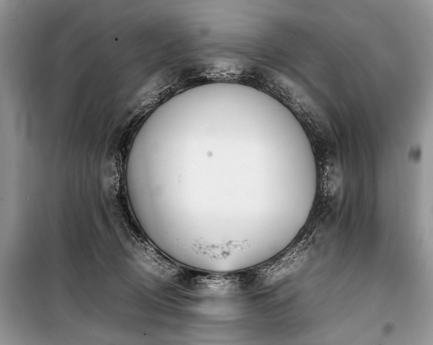 X0000100980370200806241549