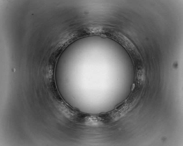 X0000100980372200806241549