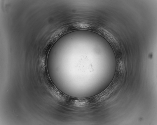 X0000100980373200806241549