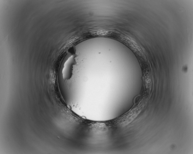 X0000100980374200806241549