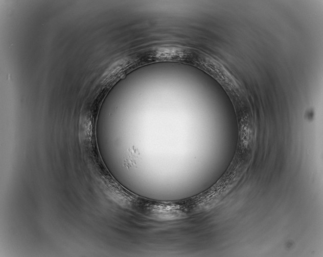 X0000100980375200806241549