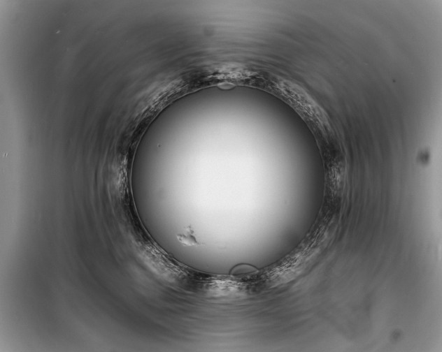 X0000100980376200806241549