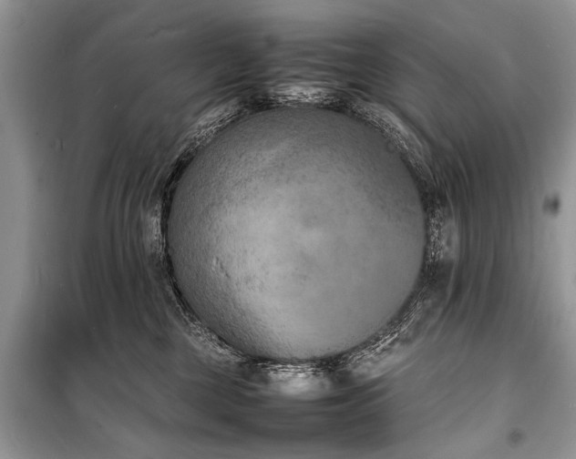 X0000100980377200806241549