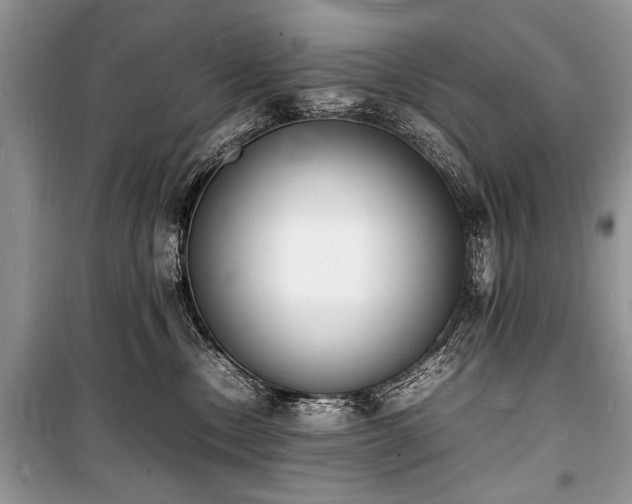 X0000100980378200806241549