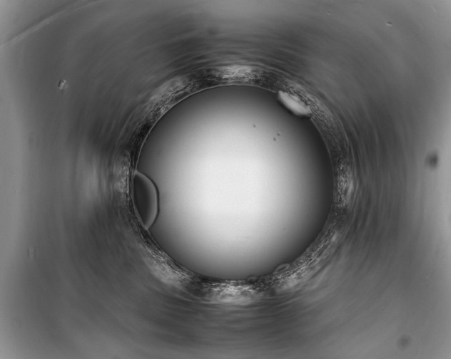 X0000100980379200806241549