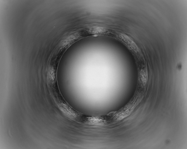 X0000100980380200806241549