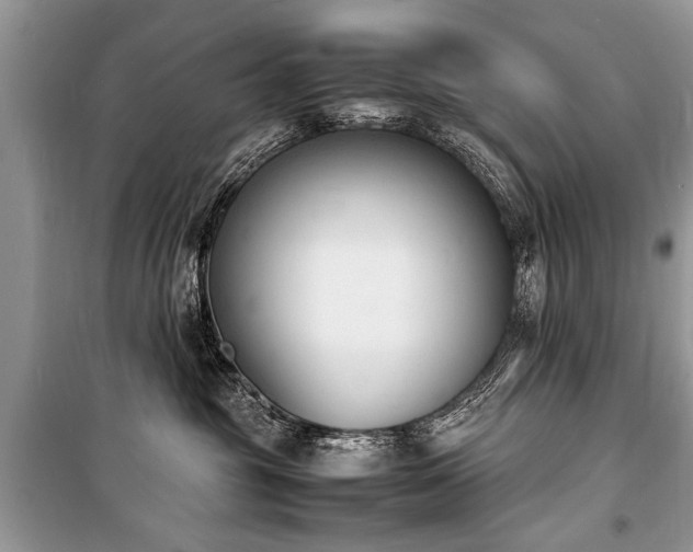 X0000100980381200806241549