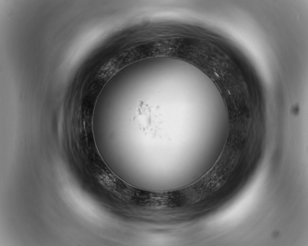 X0000100980382200806241549