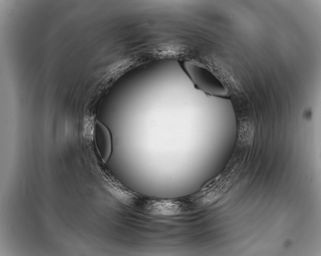 X0000100980383200806241549