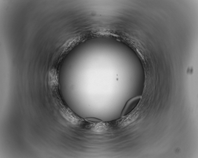 X0000100980384200806241549