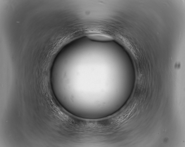 X0000100980385200806241548