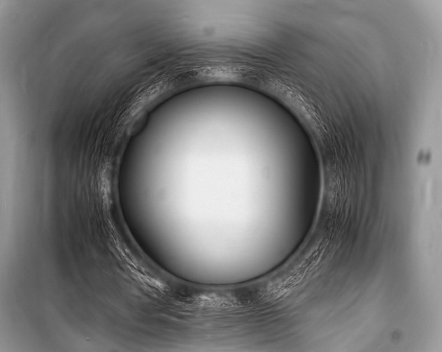 X0000100980386200806241548