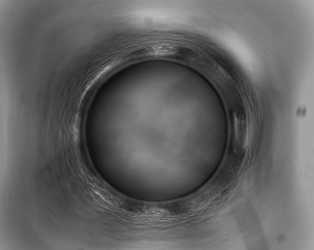 X0000100980387200806241548