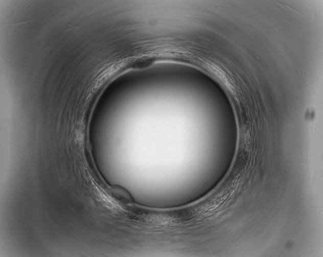 X0000100980389200806241548