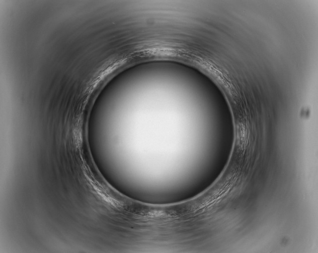 X0000100980390200806241548